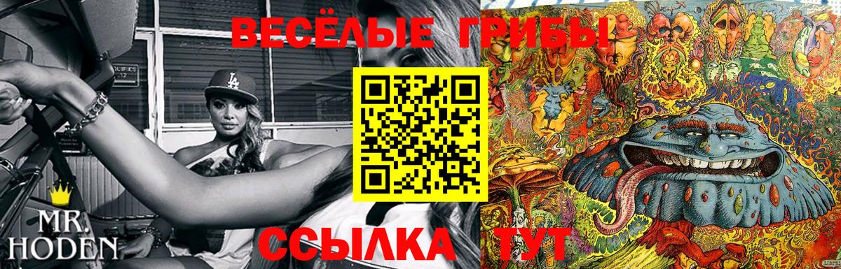 Белово  Галлюциногенные грибы прущие грибы  Галлюциногенные грибы Psilocybe  Вход с VPN 