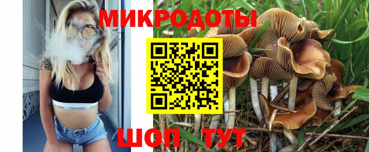 Псилоцибиновые грибы мухоморы Белово